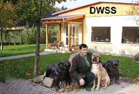 dwss1.tif