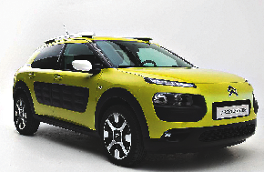 c4cactus56196.tif