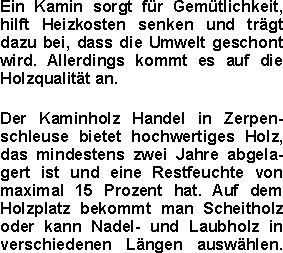 Ein Kamin sorgt für Gemütlichkeit, hilft Heizkosten senken und 