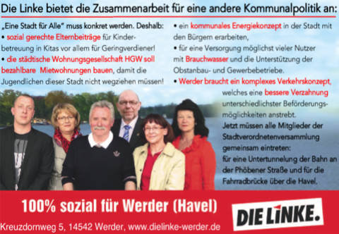 DieLinke_Druckversion.pdf