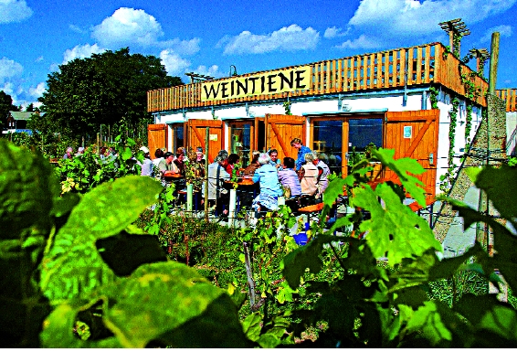 pdmwein44.tif
