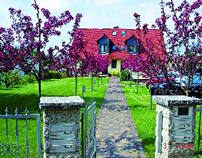 IKW_Baumbluete 005.tif