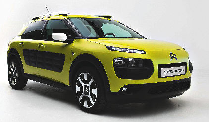 c4cactus56196.tif