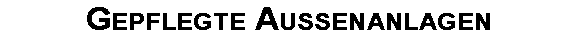 Gepflegte  Aussenanlagen