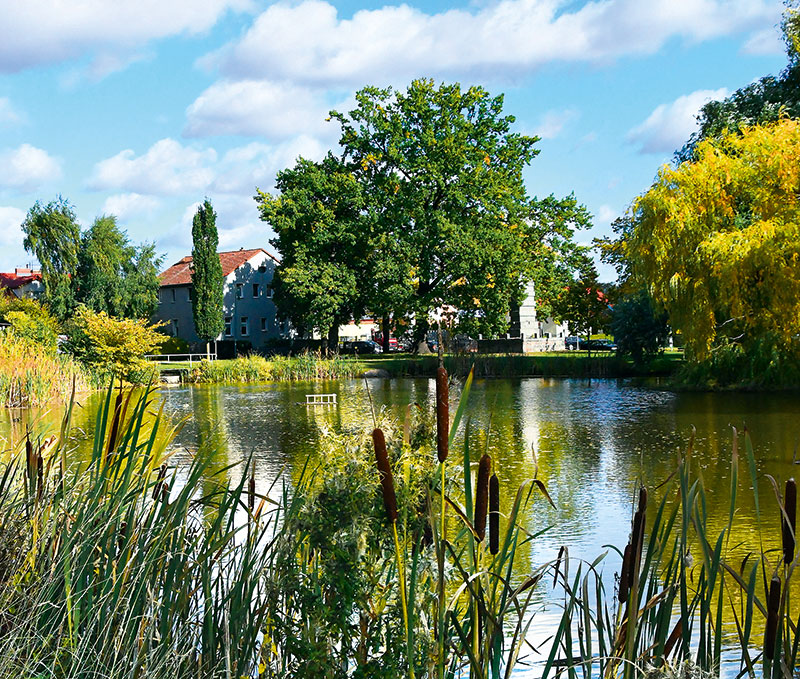 Foto von Frank Meuschke und CDU, Ortsvorsteher Lindenberg, Ahrensfelde