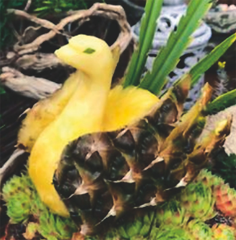 Foto von Petra Bittner, Obst- und Gemüse-Schnitzerin, Ahrensfelde Foto von Petra Bittner, Obst- und Gemüse-Schnitzerin, Ahrensfelde