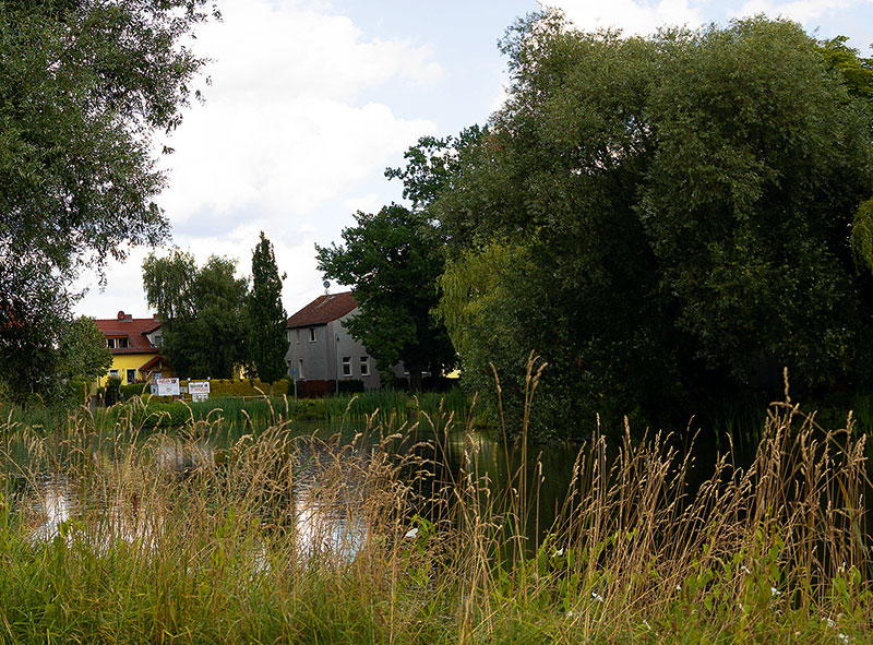 Foto von Cornelia „Conny“ Babette Renger, Fotografin, Ahrensfelde