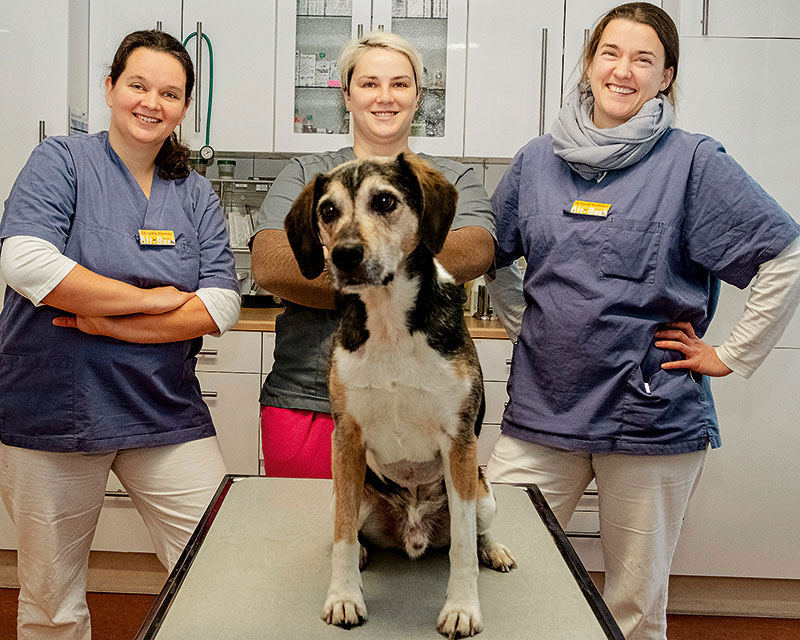 Foto von Lydia Klemer von der Firma Tierarztpraxis Alt-Buch