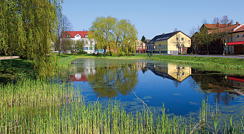 Foto von Hartmut Moreike, Blumberger Kulturverein von Canitz e.V., Ahrensfelde