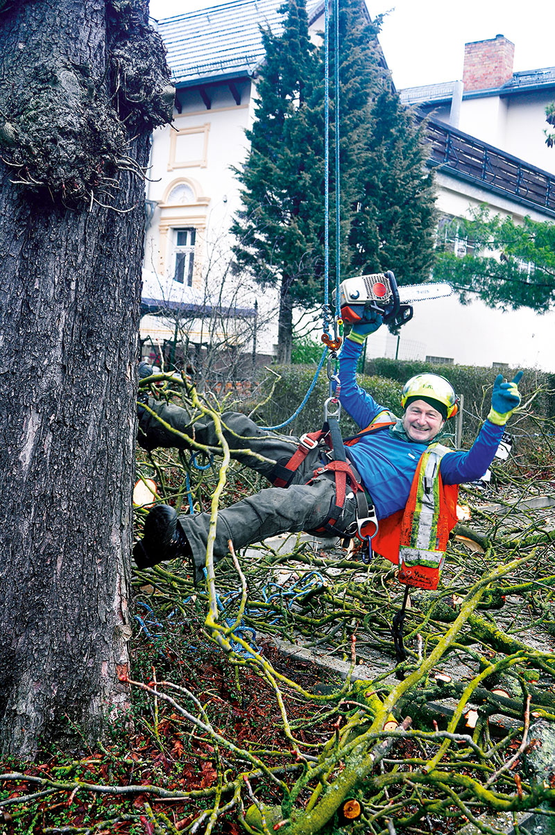 Foto von Tom Balbier von der Firma Baumkraxler Tom Balbier