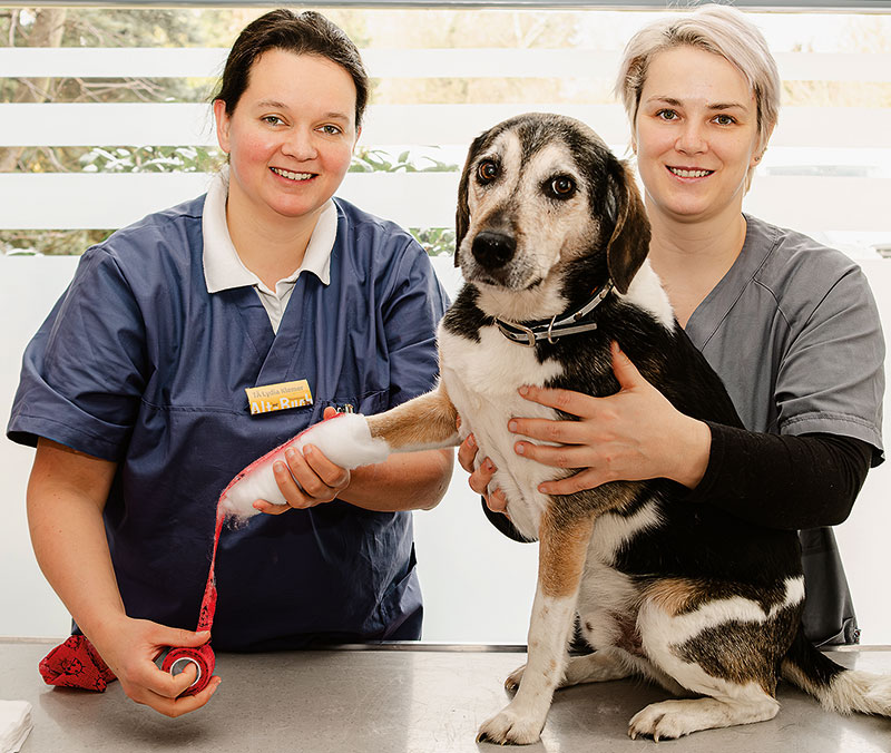Foto von Lydia Klemer von der Firma Tierarztpraxis Alt-Buch Foto von Lydia Klemer von der Firma Tierarztpraxis Alt-Buch