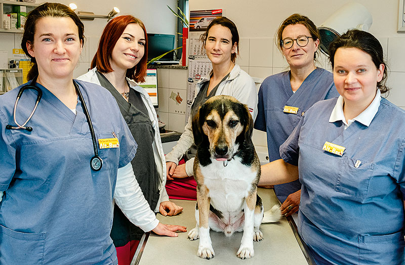 Foto von Lydia Klemer von der Firma Tierarztpraxis Alt-Buch