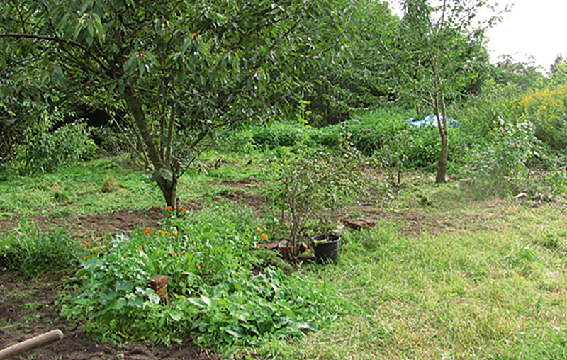 Foto von Dirk Bartsch und Florian Prauka und Karina Jung und Thomas Schneider und Jule Kaden, Pankgräfin e.V. (Wagendorf Karow), Berlin-Karow Foto von Dirk Bartsch und Florian Prauka und Karina Jung und Thomas Schneider und Jule Kaden, Pankgräfin e.V. (Wagendorf Karow), Berlin-Karow