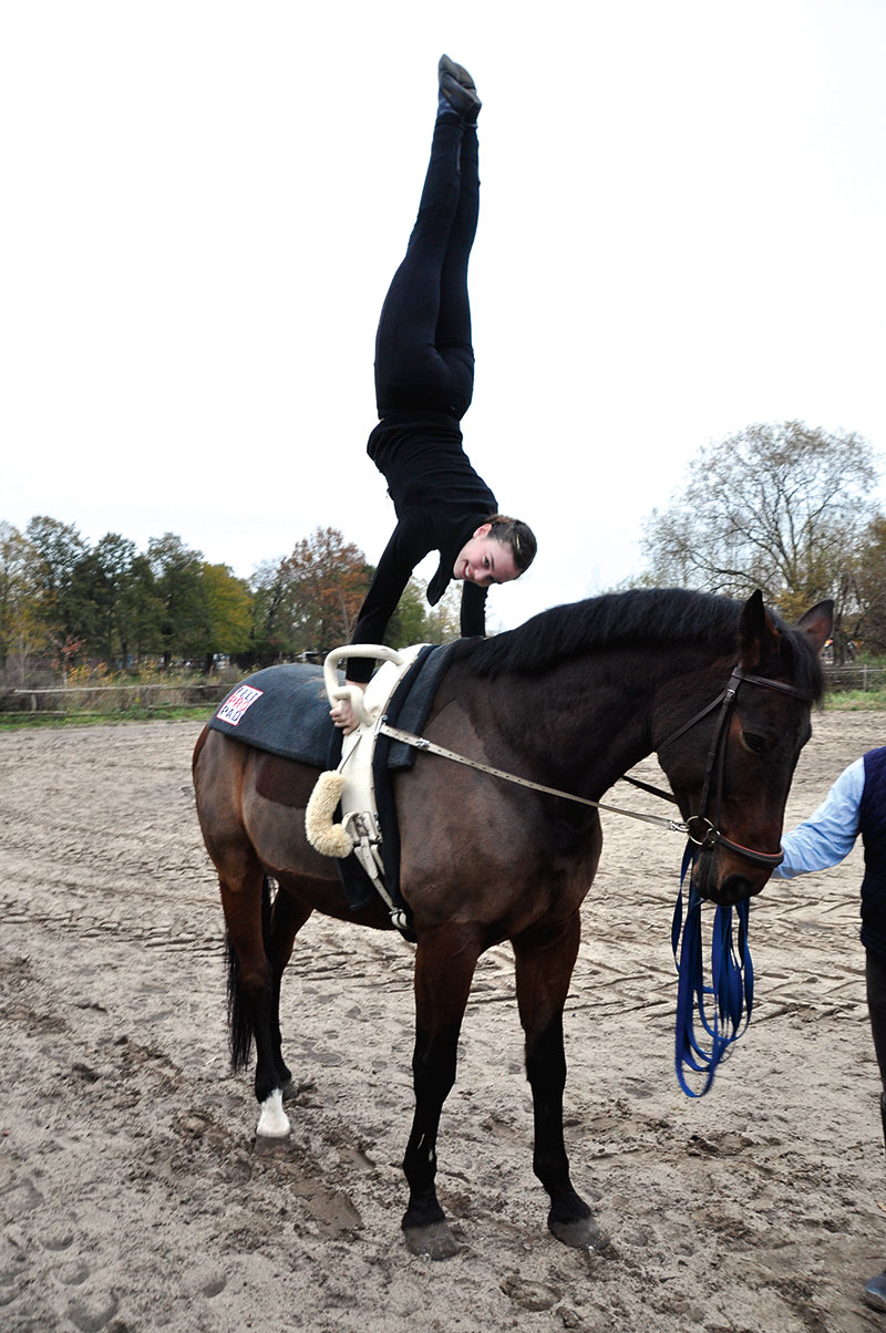 Foto von Diana Harwardt, Voltigiererin, Bernau