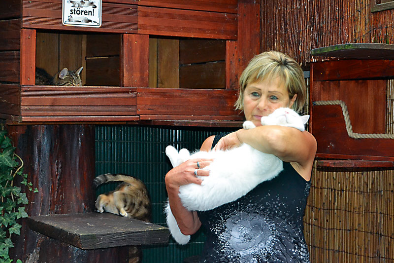 Foto von Danuta Franke von der Firma Danas Katzenpension Danuta Franke