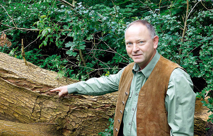 Foto von Dipl.-Ing. Stephan Hohl von der Firma Sachverständiger für Gartenbau und Baumkontrolle