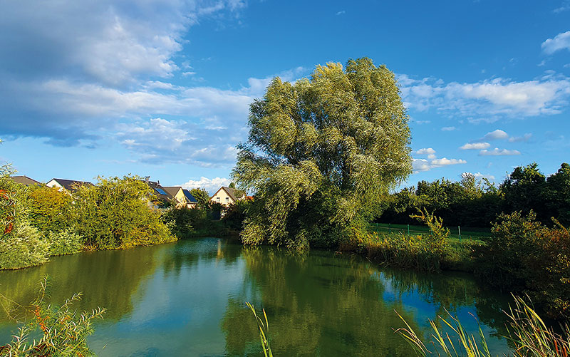 Foto von Helmut Tank von der Firma Heimatland Grundstücks- und Energiesysteme GmbH