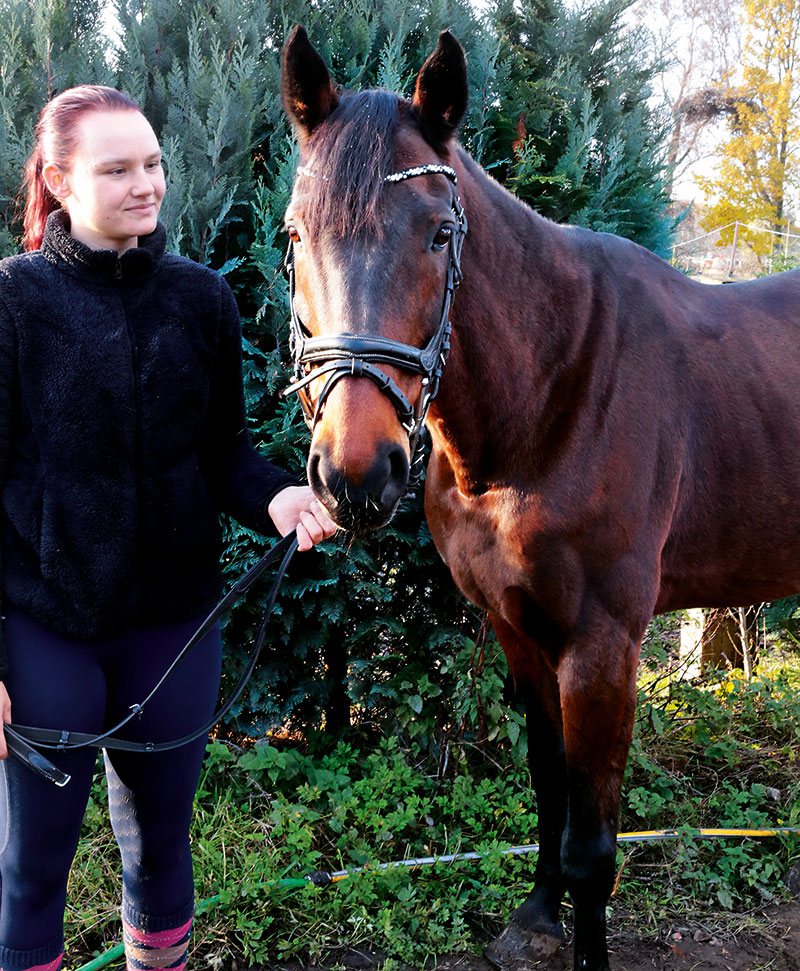 Foto von Miriam Fellner von der Firma LaLeLu Landwirtschaftliche Pferdepension mit integrierter Reitschule