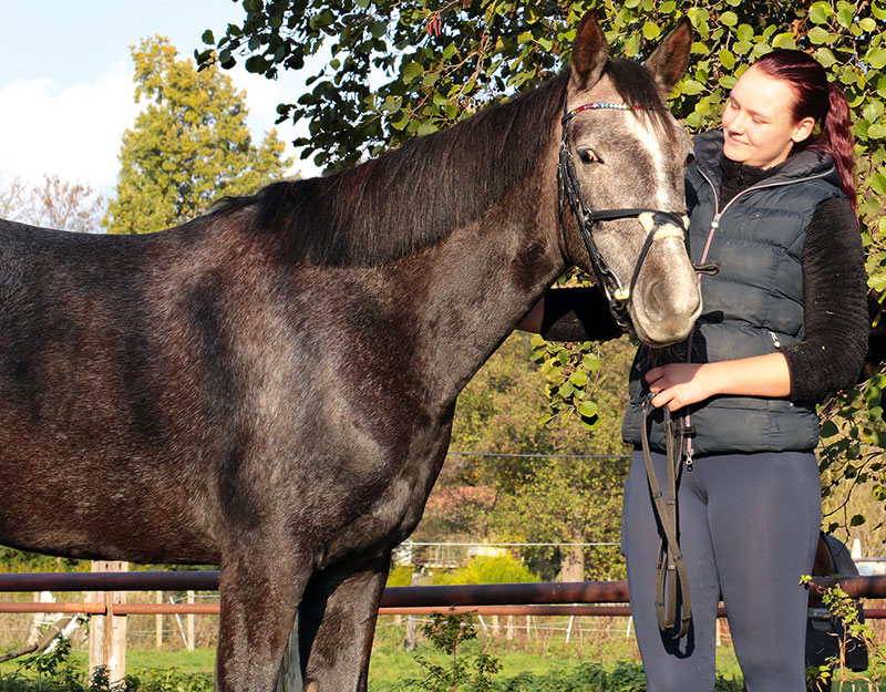 Foto von Miriam Fellner von der Firma LaLeLu Landwirtschaftliche Pferdepension mit integrierter Reitschule