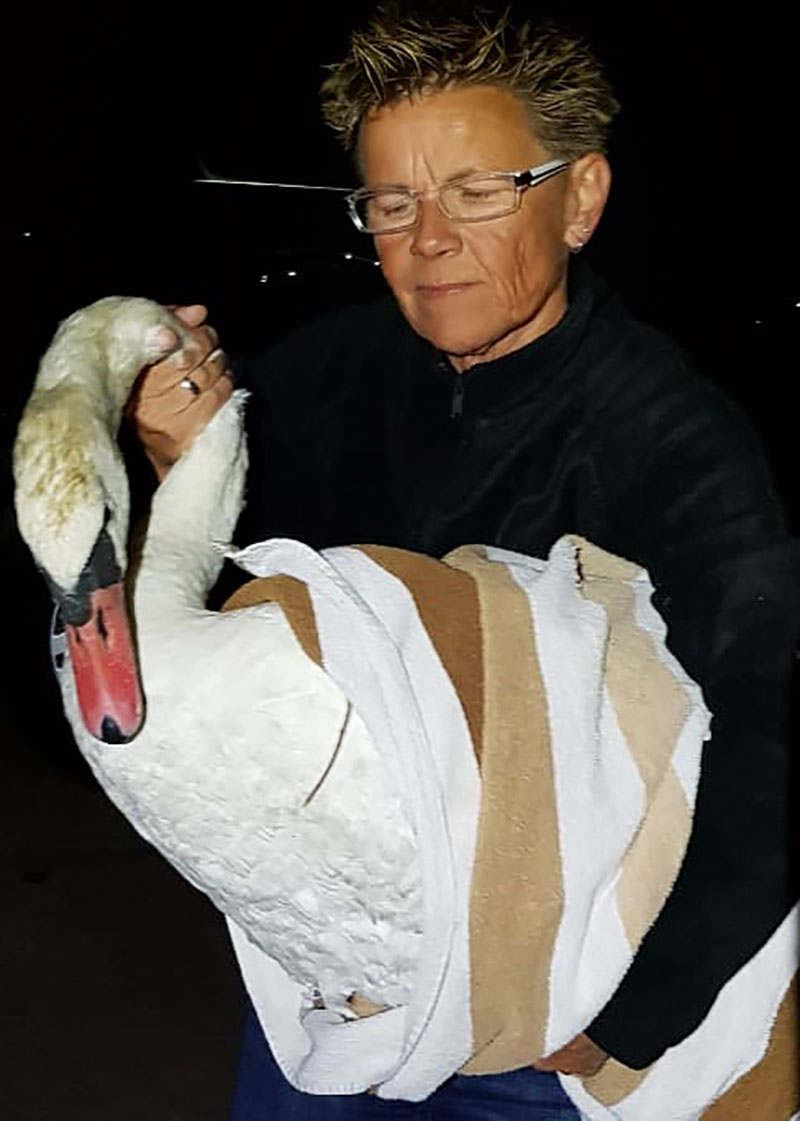 Foto von Ruth Schnitzler, Gnadenhof & Wildtierrettung Notkleintiere e.V., Brieselang