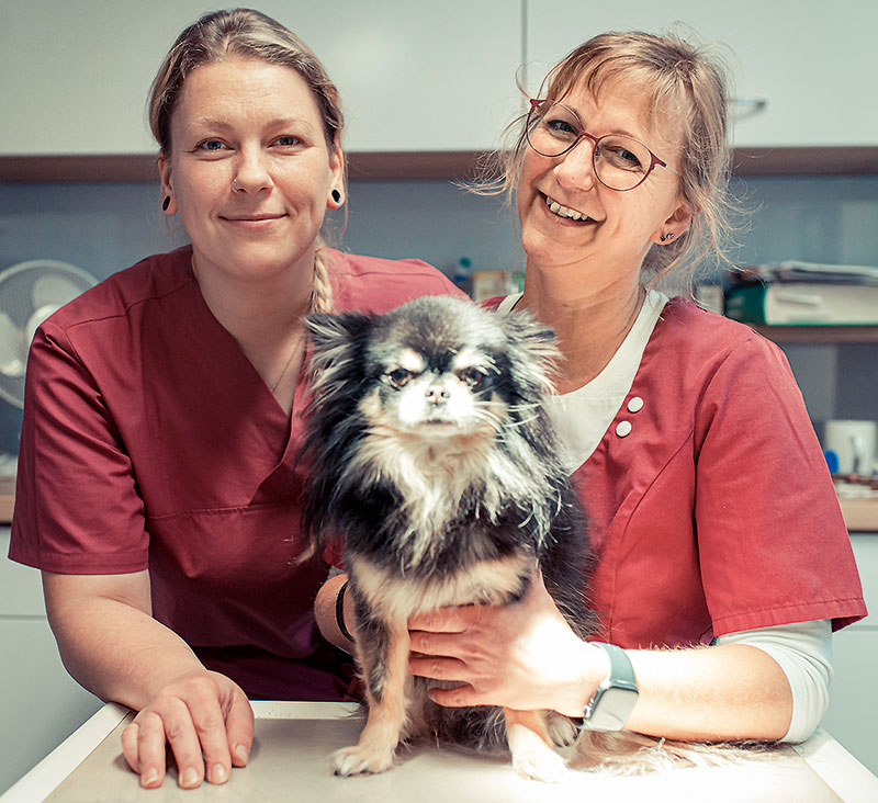 Foto von Dr. Doreen Gürtler von der Firma Tierarztpraxis Rahnsdorf Dr. Doreen Gürtler