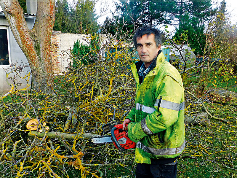 Foto von René Kandetzki von der Firma Kandetzki Gartenservice