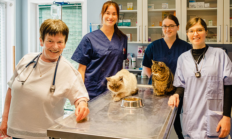 Foto von Sabine Schön von der Firma Tierarztpraxis & Katzenpension Sabine Schön