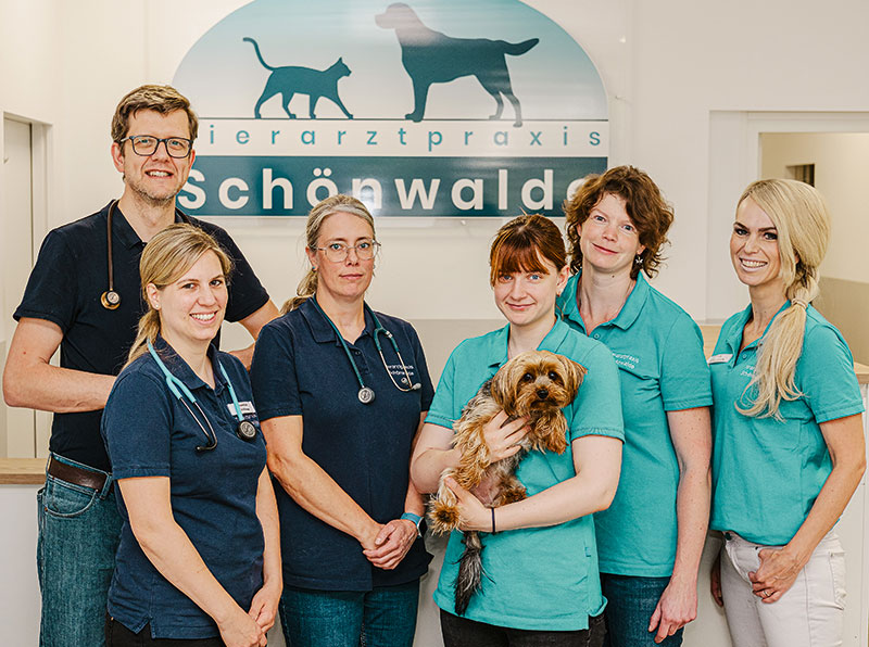 Foto von Tobias Haubner von der Firma Tierarztpraxis Schönwalde