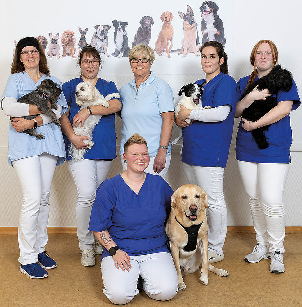 Foto von Dr. Ute Teutenberg von der Firma Tierarztpraxis Dr. Ute Teutenberg Foto von Dr. Ute Teutenberg von der Firma Tierarztpraxis Dr. Ute Teutenberg