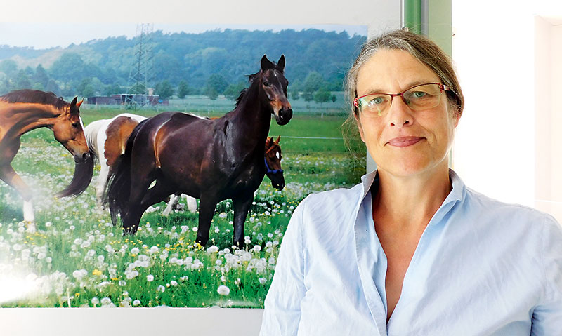 Foto von Dr. Sabine Schröder von der Firma Dr. Sabine Schröder Fachpraxis für traumazentriertes und pferdegestütztes Arbeiten