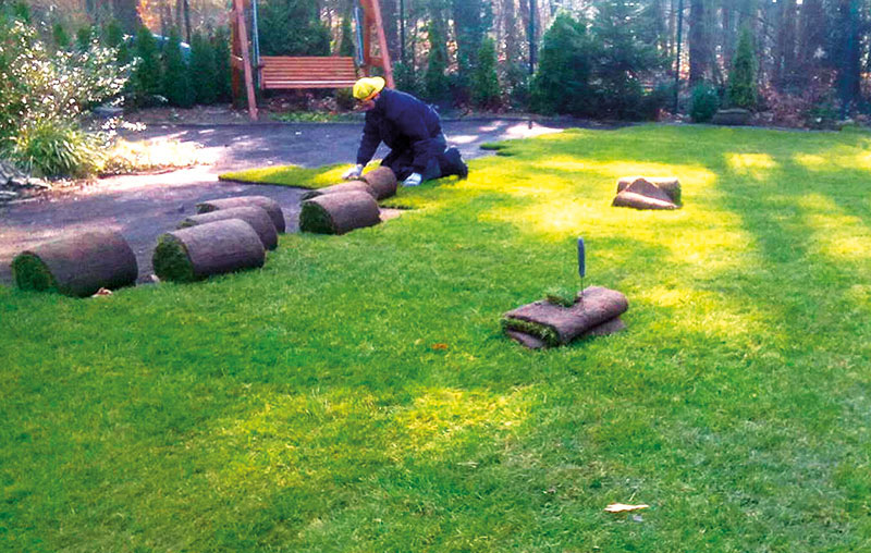 Foto von René Schimmack von der Firma Garten- und Landschaftsbau Schimmack