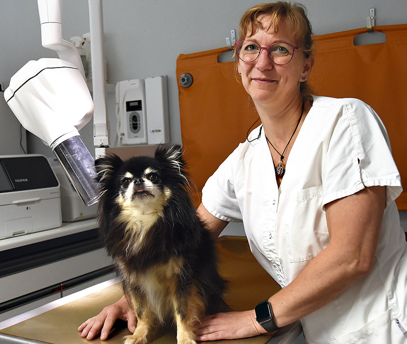 Foto von Dr. Doreen Gürtler von der Firma Tierarztpraxis Rahnsdorf Foto von Dr. Doreen Gürtler von der Firma Tierarztpraxis Rahnsdorf