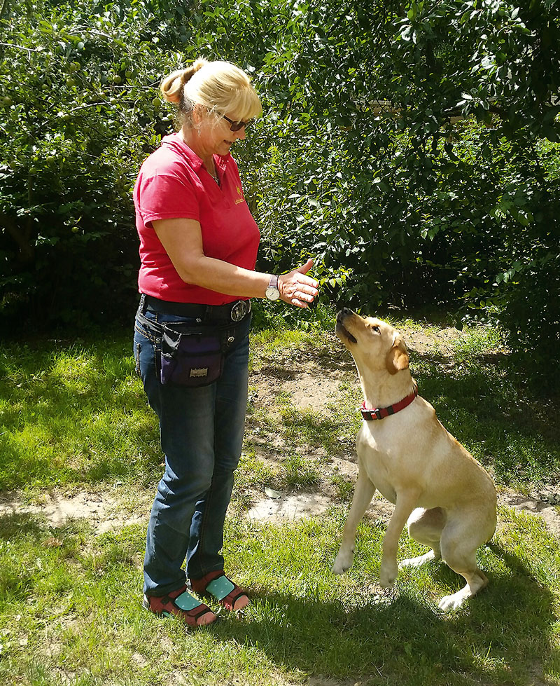 Foto von Sabine Braun und Marie-Alice Braun von der Firma Labbiland Hundeschule & Hundepension