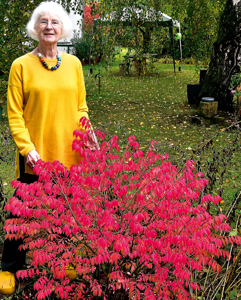 Foto von Elisabeth Göbel, Buchautorin, Kleinmachnow