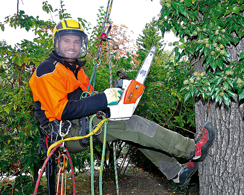 Foto von Julius Stér von der Firma Baum und Garten Julius Stér