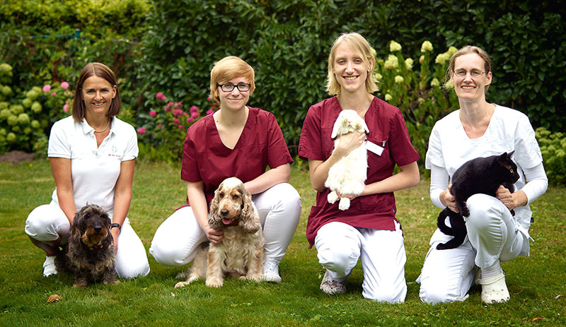 Foto von Dr. Ute Busch von der Firma Tierarztpraxis Kleinmachnow