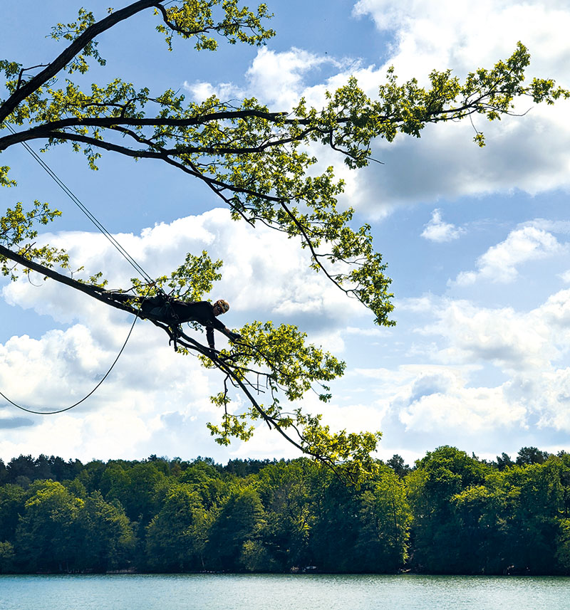 Foto von Jannis Böttcher von der Firma Treeletics Baumpflege