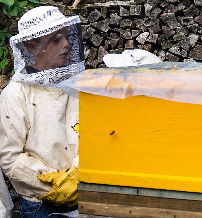 Foto von Britta Herter, Bienen-Erlebniswelt, Königs Wusterhausen