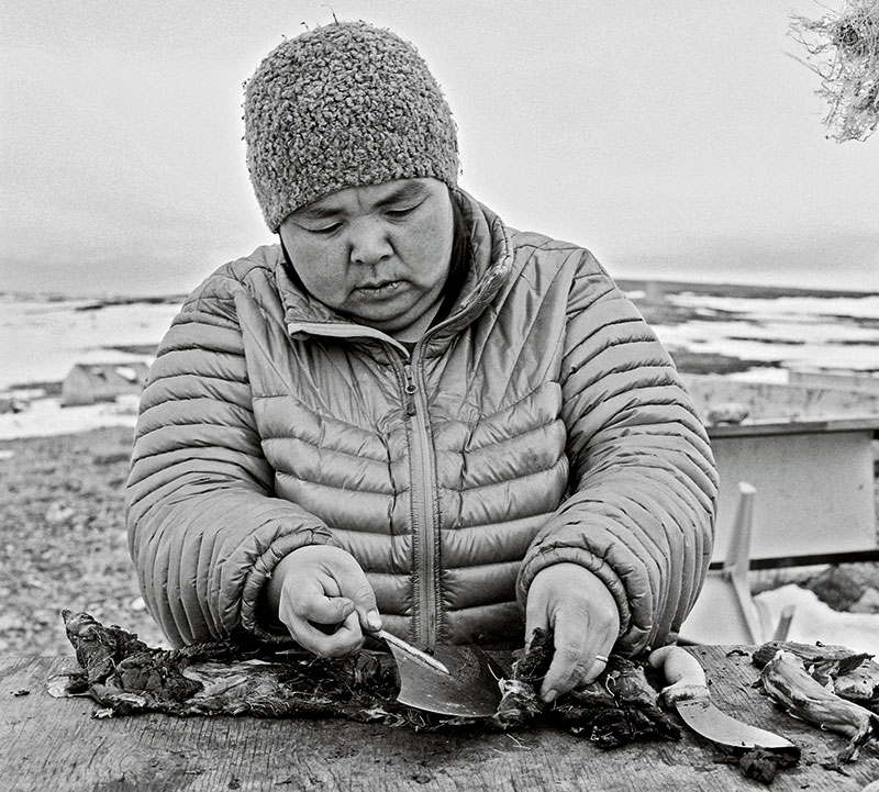 Foto von Martin Weinhold, Fotograf Martin Weinhold, Rahnsdorf