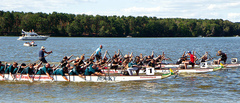 Foto von Jörg Stegemann, Verein Schenkenland Cup, Schenkenländchen