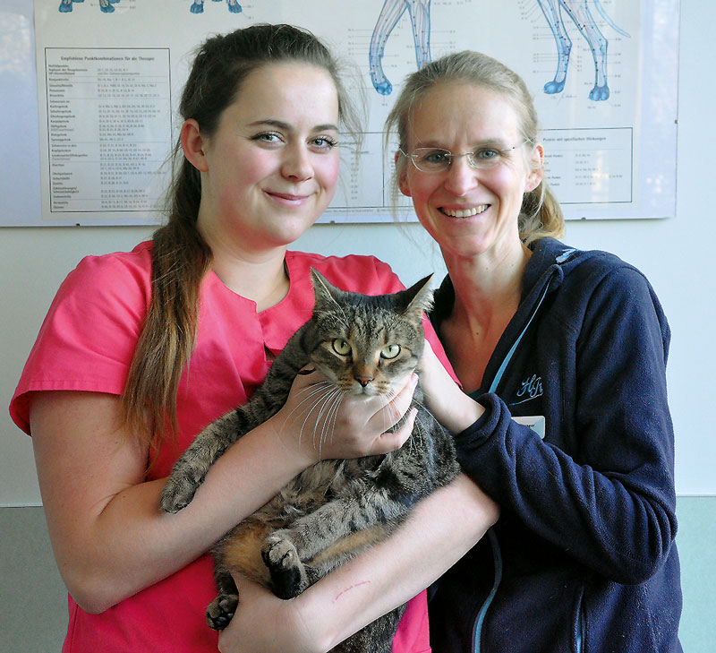 Foto von Fabienne Gutschwager von der Firma Tierarztpraxis Groß Köris