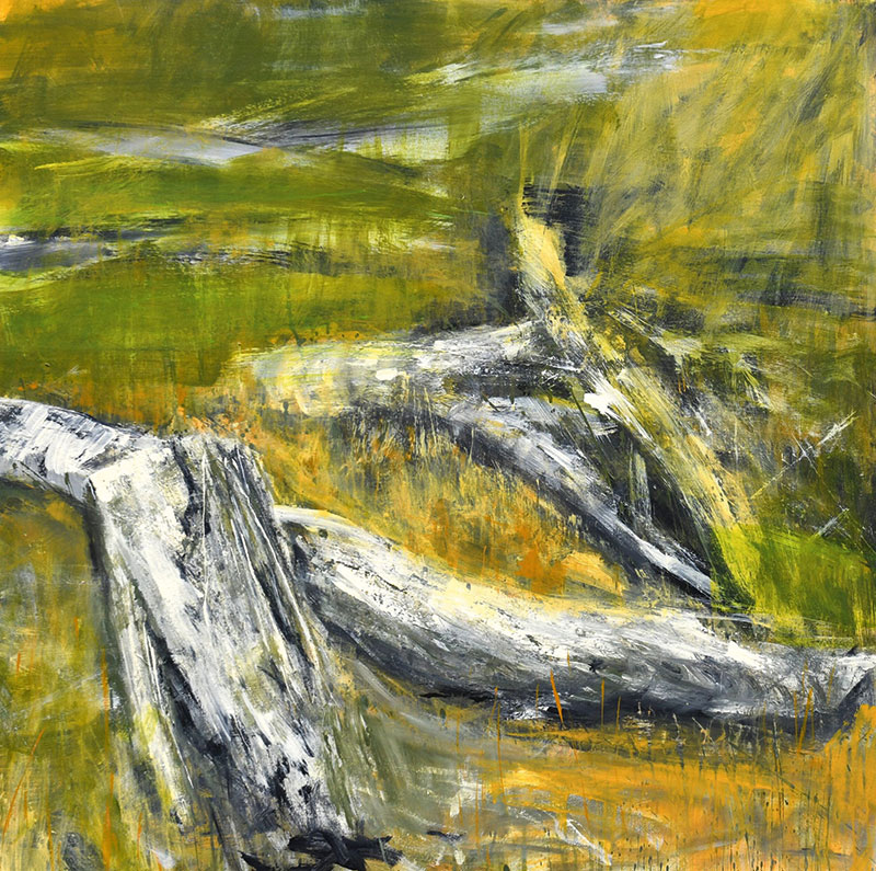 Foto von Hilla Hölter, Künstlerin, Schenkenländchen