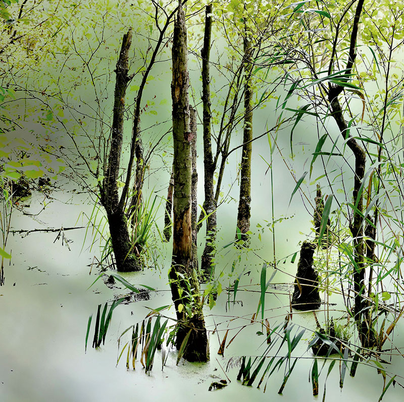 Foto von Hilla Hölter, Künstlerin, Schenkenländchen