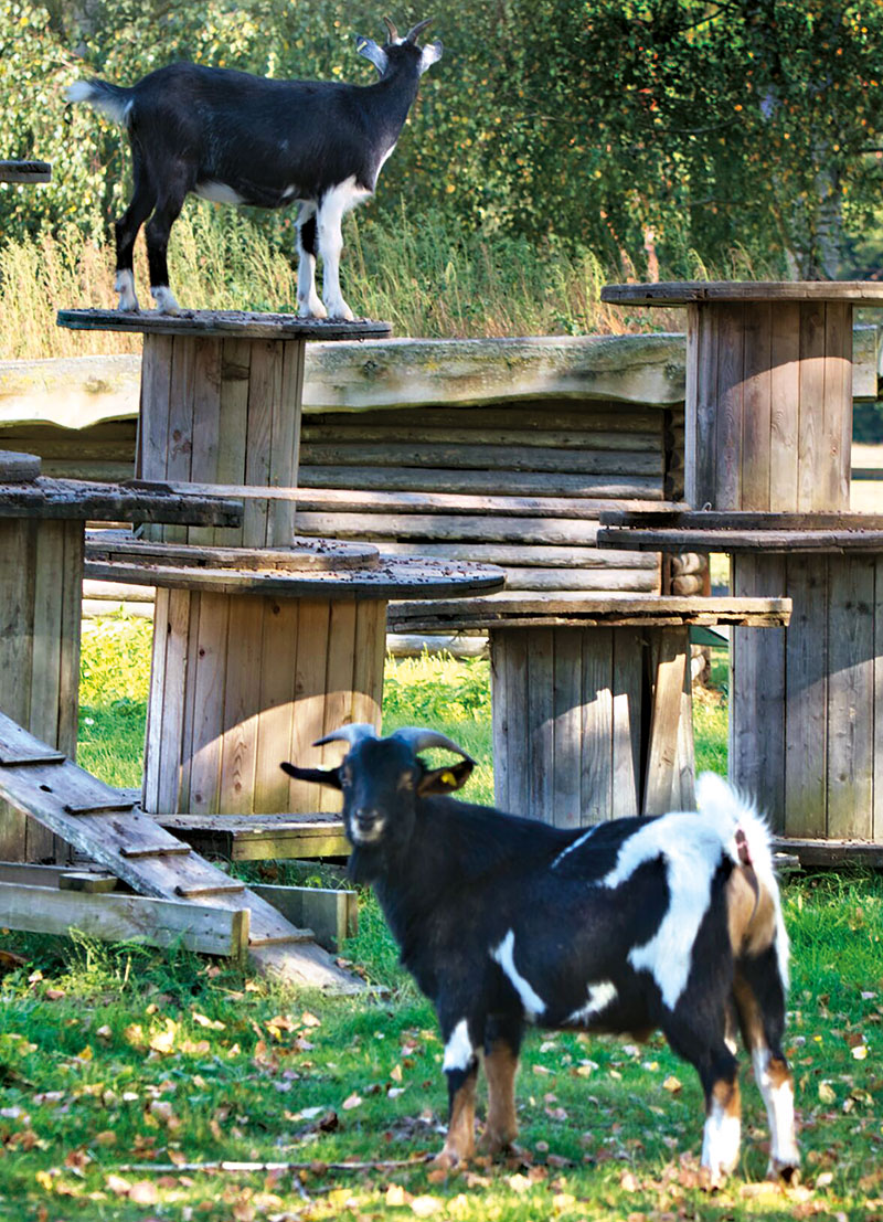Foto von Lydia Rick von der Firma Wild- & Haustierpark Liebenthal Foto von Lydia Rick von der Firma Wild- & Haustierpark Liebenthal
