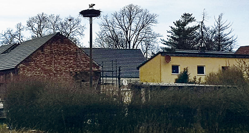 Foto von Thomas Mehling und Freie Bürgergemeinschaft Wandlitz, Ortsvorsteher Schönerlinde, Wandlitz Foto von Thomas Mehling und Freie Bürgergemeinschaft Wandlitz, Ortsvorsteher Schönerlinde, Wandlitz