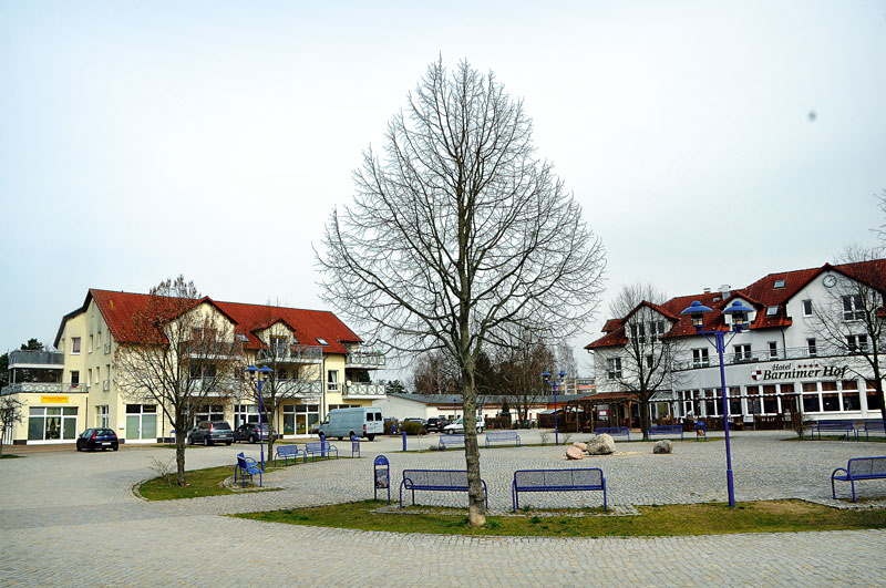 Foto von Holger Nagel und Tino Richter und Lutz Bohnebuck von der Firma Werbegemeinschaft Basdorf