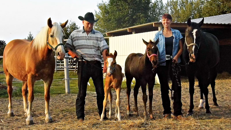 Foto von Ralph Stegemann von der Firma East-Point Stable Foto von Ralph Stegemann von der Firma East-Point Stable