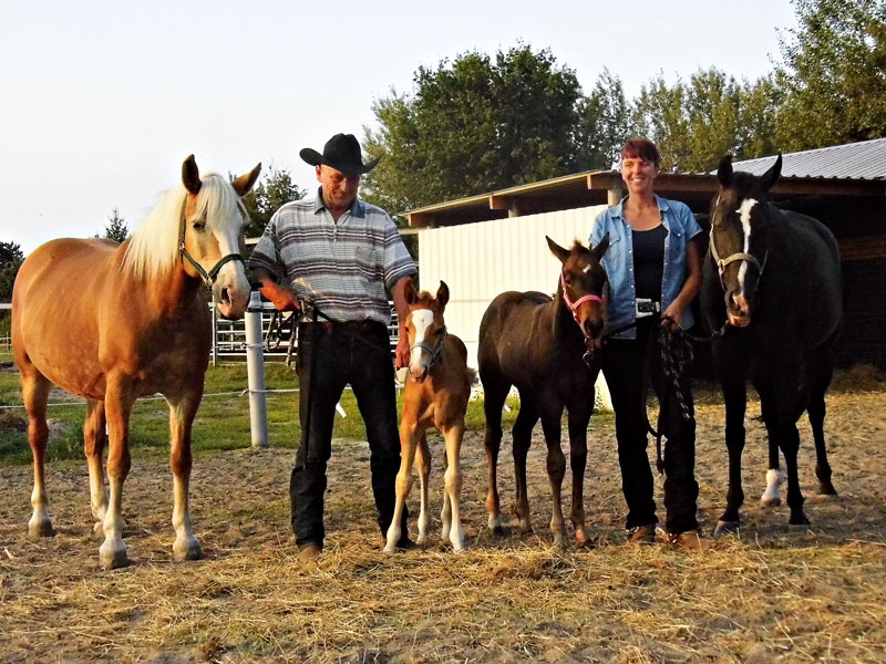 Foto von Ralph Stegemann von der Firma East-Point Stable