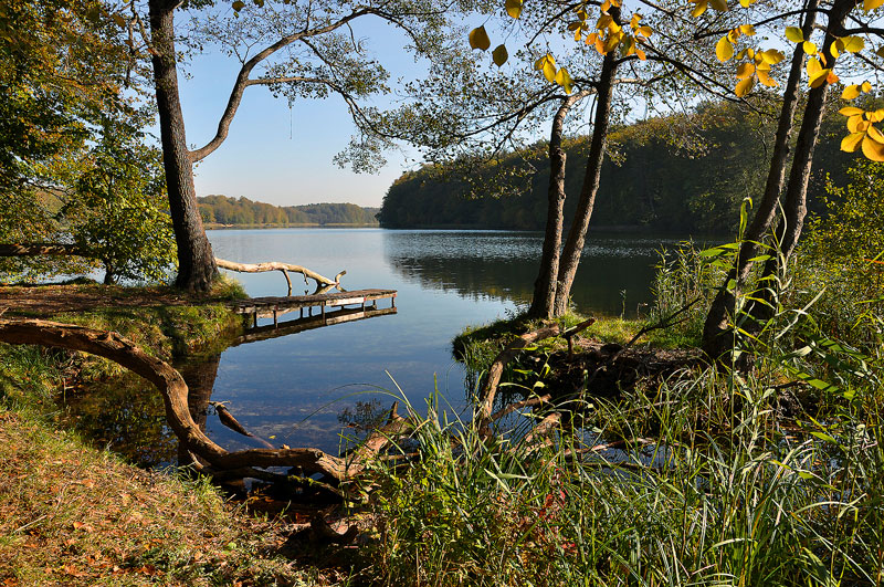 Foto von Dr. Jana Radant, Bürgermeisterin, Wandlitz