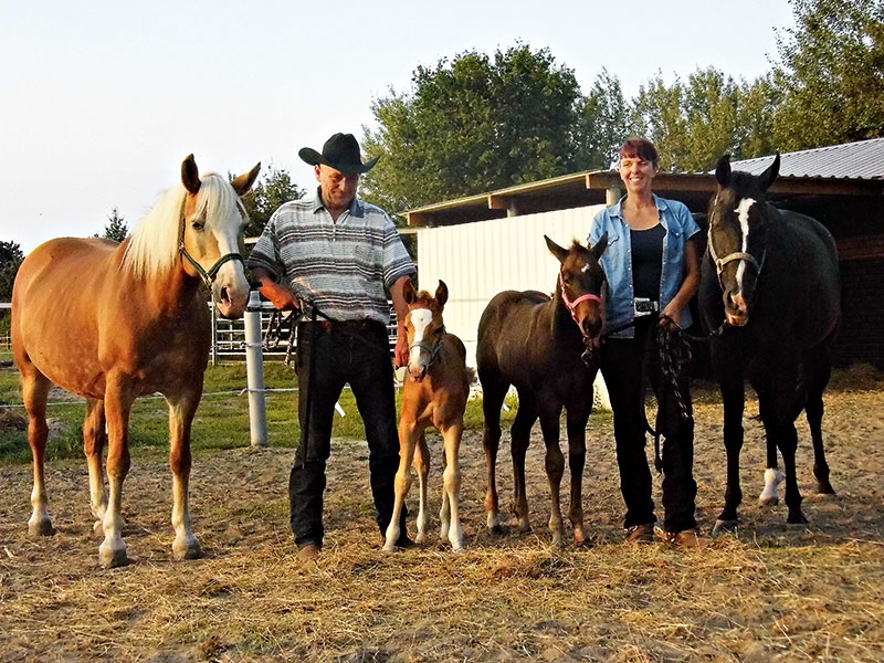 Foto von Ralph Stegemann von der Firma East-Point Stable